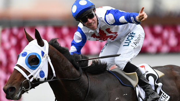 Spot on: John Allen salutes after getting Mr Quickie home in the Queensland Derby.