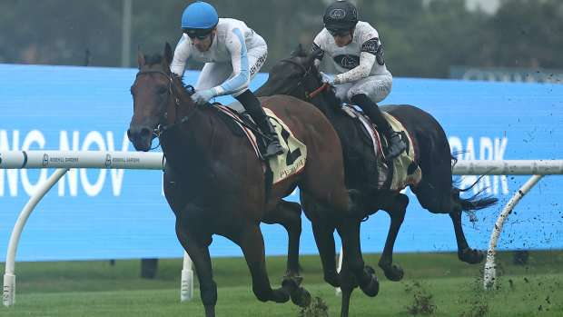 Ash Morgan riding Private Harry to victory at Rosehill on Saturday.