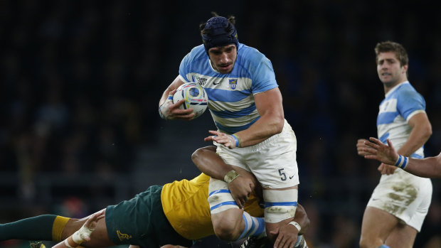 Wary: New Zealand have singled out Tomas Lavanini as a key for the Pumas.