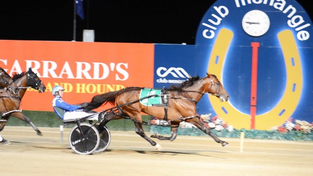 Luke McCarthy is hoping to get the right run on King Of Swing to add the Inter Dominion grand final to his impressive resume.