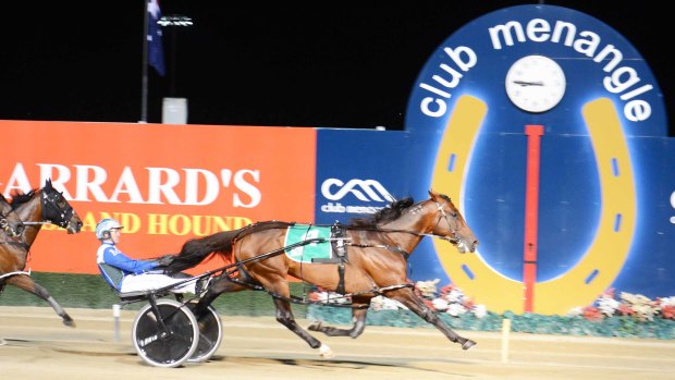  King Of Swing is an odds-on favourite to win an unprecedented third Miracle Mile on Saturday.