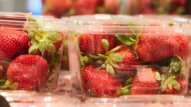 Strawberries will be served in a variety of dishes up and down the Fremantle cappuccino strip on Sunday.