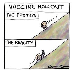 Illustration: Matt Golding