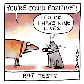  Illustration by Matt Golding