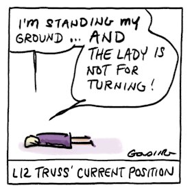 Matt Golding illustration