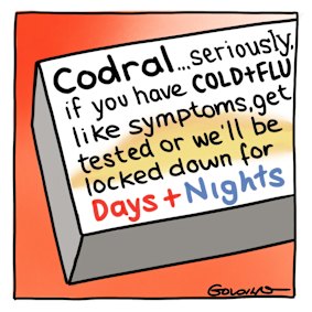 Day/Night Codral