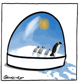 A grim outlook.