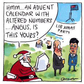 Better than a lump of coal: MPs gather for the Coalition's Christmas party. Illustration: Matt Golding