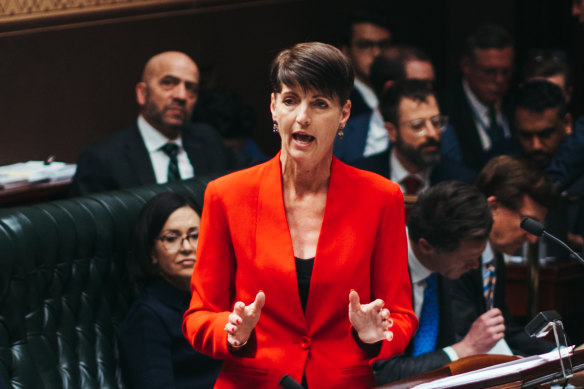 Minister for Family and Communities Kate Washington in NSW parliament.