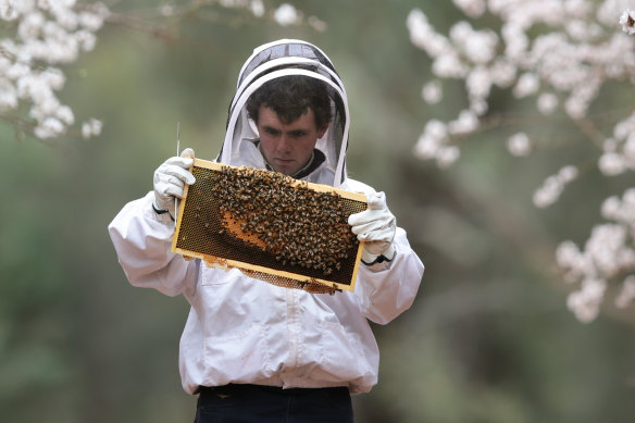 About 1088 professional apiary sites are located in 49 Queensland national parks.