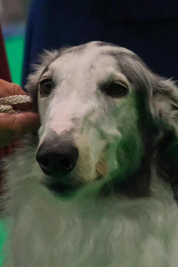 Kohl was named after the popular eyeliner cosmetics brand.