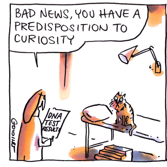 Illustration: Matt Golding