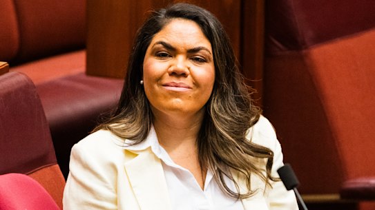 Northern Territory Country Liberal senator Jacinta Nampijinpa Price has revealed she is a survivor of domestic violence.