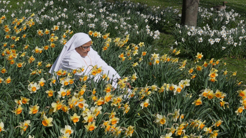 World of photos, March 29, 2025