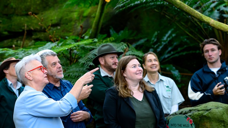 Australia begins H5N1 vaccination program for select wild birds