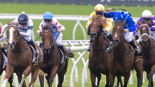 Leading the charge: Vangelic, second from the right, goes for home in the group 1 Surround Stakes at her last start before running second to Forbidden Love, third from the left.   