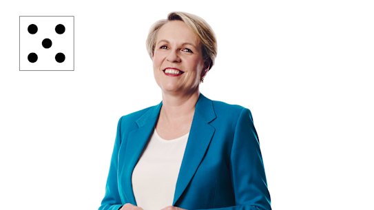 Tanya Plibersek: "Setting targets and making it something that an organisation can be held to account on is an important element of that. Equality doesn’t happen by accident."