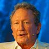 Andrew Forrest’s biggest bet has been on developing electrolysers that can break down water into green hydrogen or reduce iron ore to “green iron” suitable for steel making.