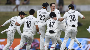 new zealand test cricket jersey