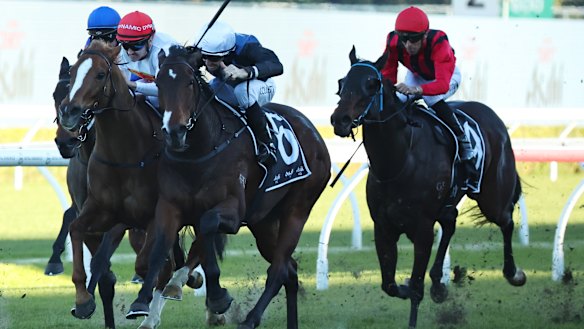 Lulumon (centre, No.6) winning at Randwick last year. 