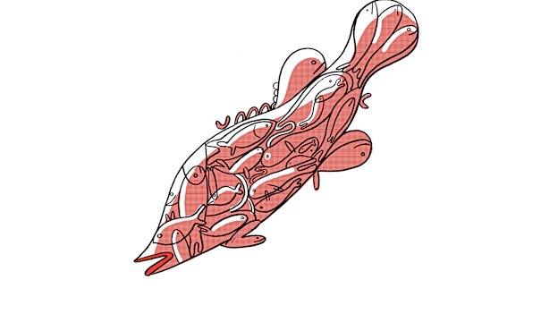 'When they departed and the dust trail from their motorcade settled, four days of song and dance were decreed.'