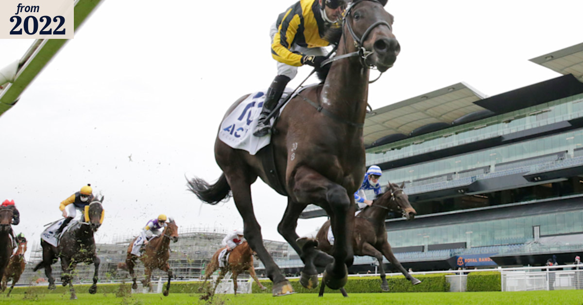 Warwick Farm races: Gary Portelli has high hopes for Sky Command
