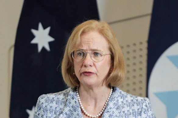 Queensland Chief Health Officer Dr Jeannette Young addressing the media last week. 