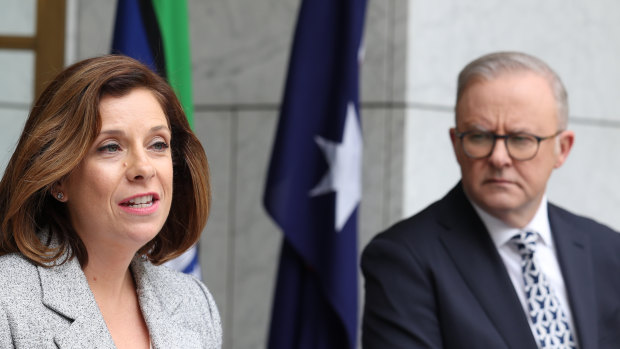 Minister for Aged Care Anika Wells is a major winner from Prime Minister Anthony Albanese reshuffle.