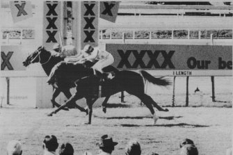 Bold personality winning as Fine Cotton on August 18, 1984.