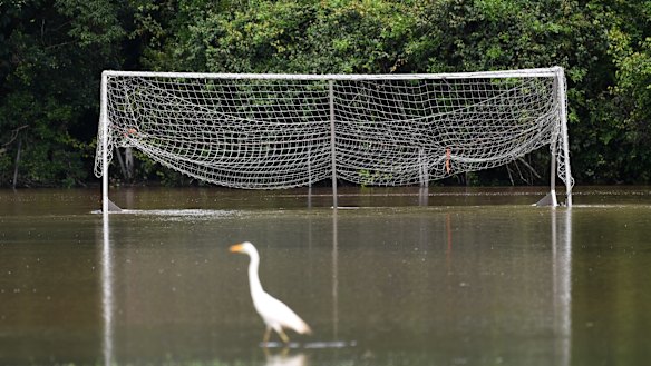 A football field covered in floodwater in Woombye on the Sunshine Coast.