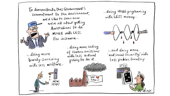 Illustration: Cathy Wilcox