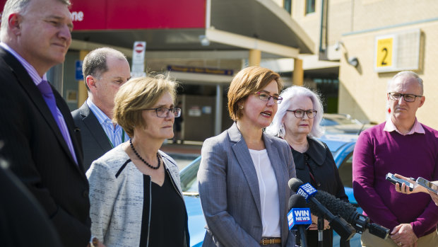 Health Minister Meegan Fitzharris announced an independent review on Monday.