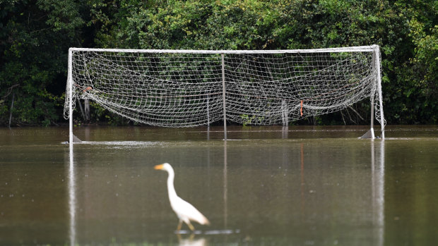 A football field covered in floodwater in Woombye on the Sunshine Coast.