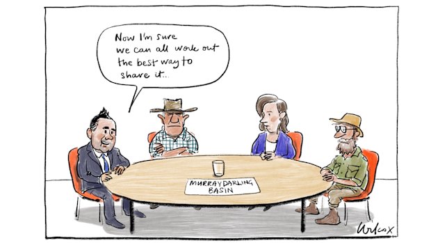 Illustration: Cathy Wilcox