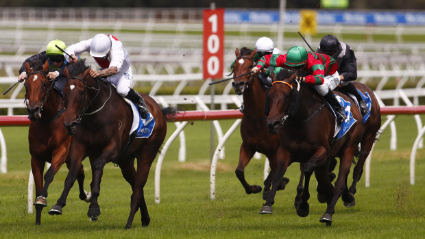 Needs it soft: Karavali wins the Aspiration Quality at Randwick during the autumn carnival.