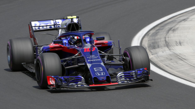 Potential: Gasly in free practice during last month's Hungarian Grand Prix.