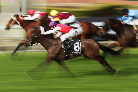 Outback Diva comes over the top of her rival at Rosehill last start.