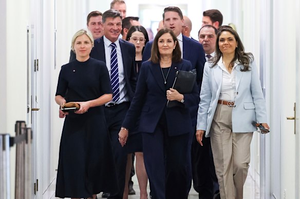 Senator Jessica Collins, Angus Taylor, Senator Sarah Henderson, Andrew Hastie and Senator Price, together with other Liberal MPs and senators, arrive for a Liberal party room meeting late last year.