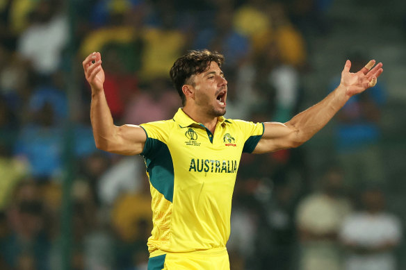 Marcus Stoinis has declared himself fit.