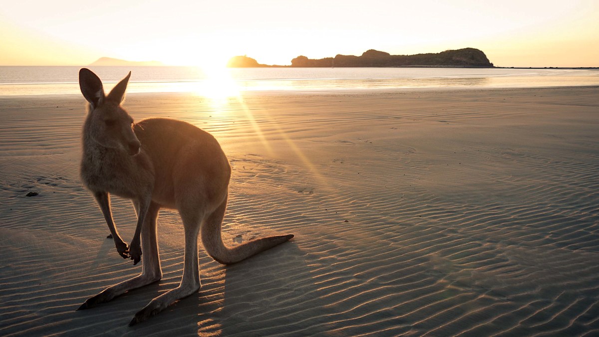 Unsung tropical spot emerges as one of Australia’s top under-the-radar destinations