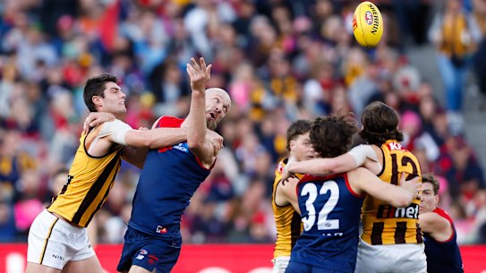 Melbourne’s Max Gawn and Ned Reeves of the Hawks square up on Sunday.