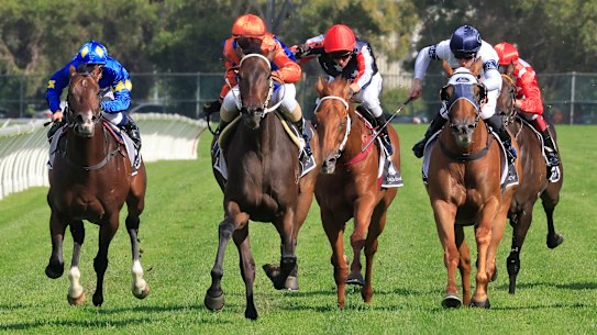 Racing returns to Dubbo on Sunday.
