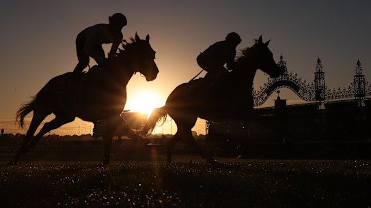 James McDonald riding St. Gotthard and Jye McNeil aboard Steel Will at Flemington trackwork on Tuesday morning.