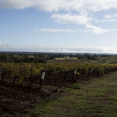 Tyrrell Wines in Pokolbin, Hunter Valley.
