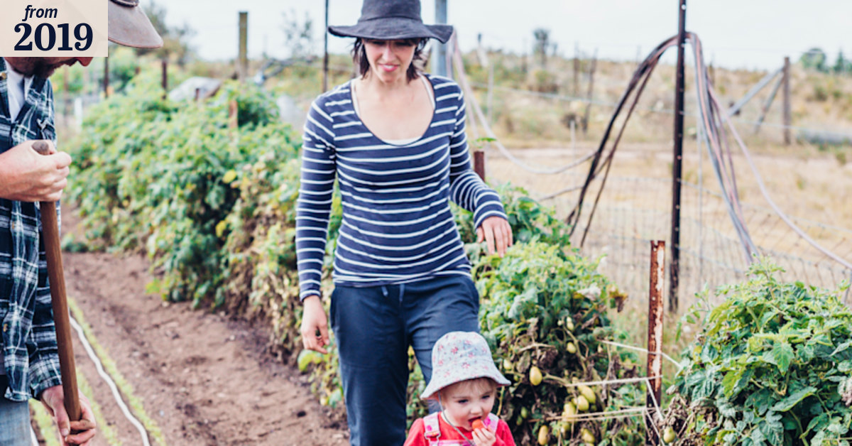 Planting above their weight: low-acreage, high-yielding farms