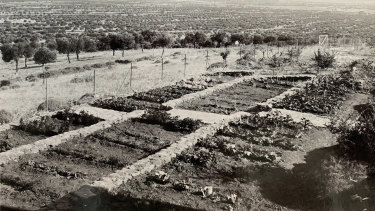 A Greek Garden Bearing Gifts