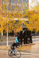 Skelleftea in northern Sweden has become one of the first boomtowns of the green industrial transition.