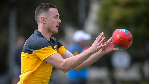 New Hawk Tom Scully.