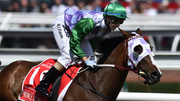 Breakthrough: Michelle Payne was the first female jockey to win the Melbourne Cup.