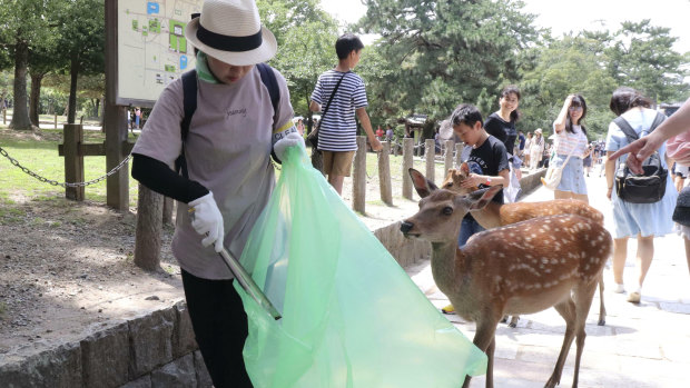 A volunteer picks up plastic rubbish during a clean-up campaign at Nara Park in western Japan on Wednesday.